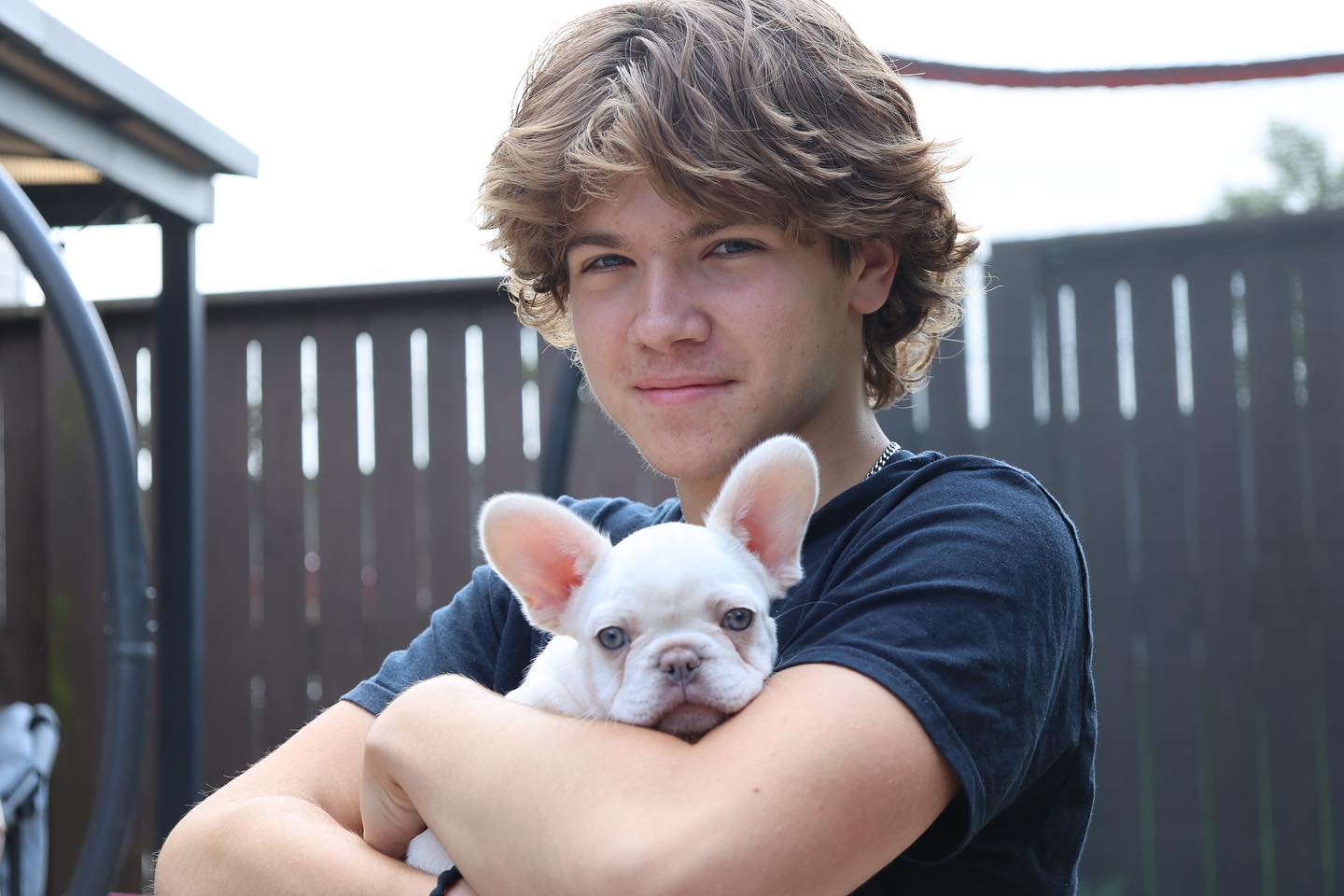 Boy holding a White French Bulldog