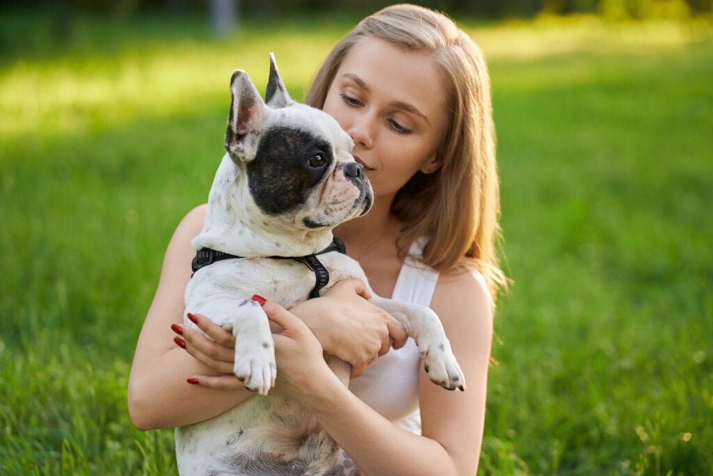 Essential Guide to Grooming Your French Bulldog: From Bath Time to Nail ...